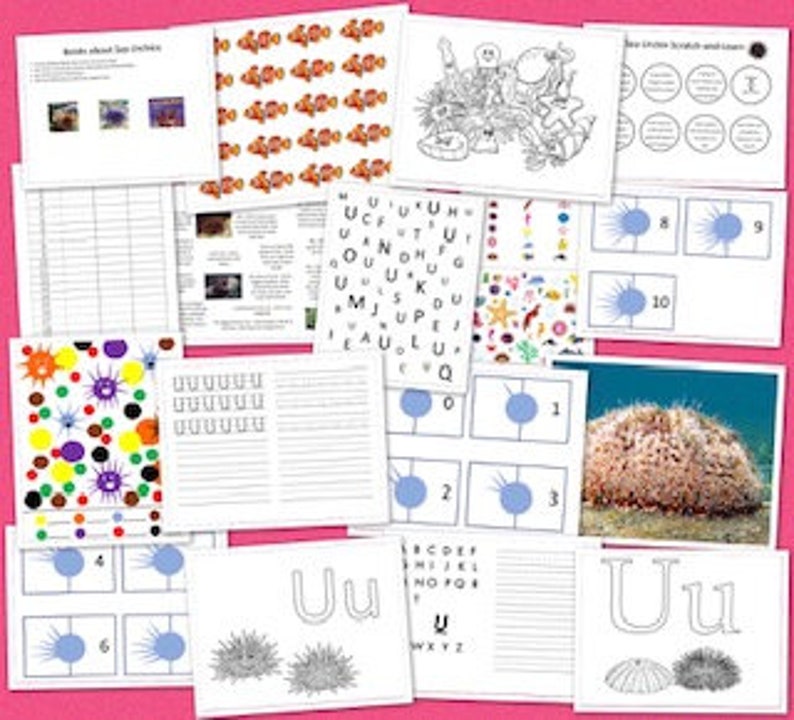 U is for Urchin Activity Booklet - Etsy