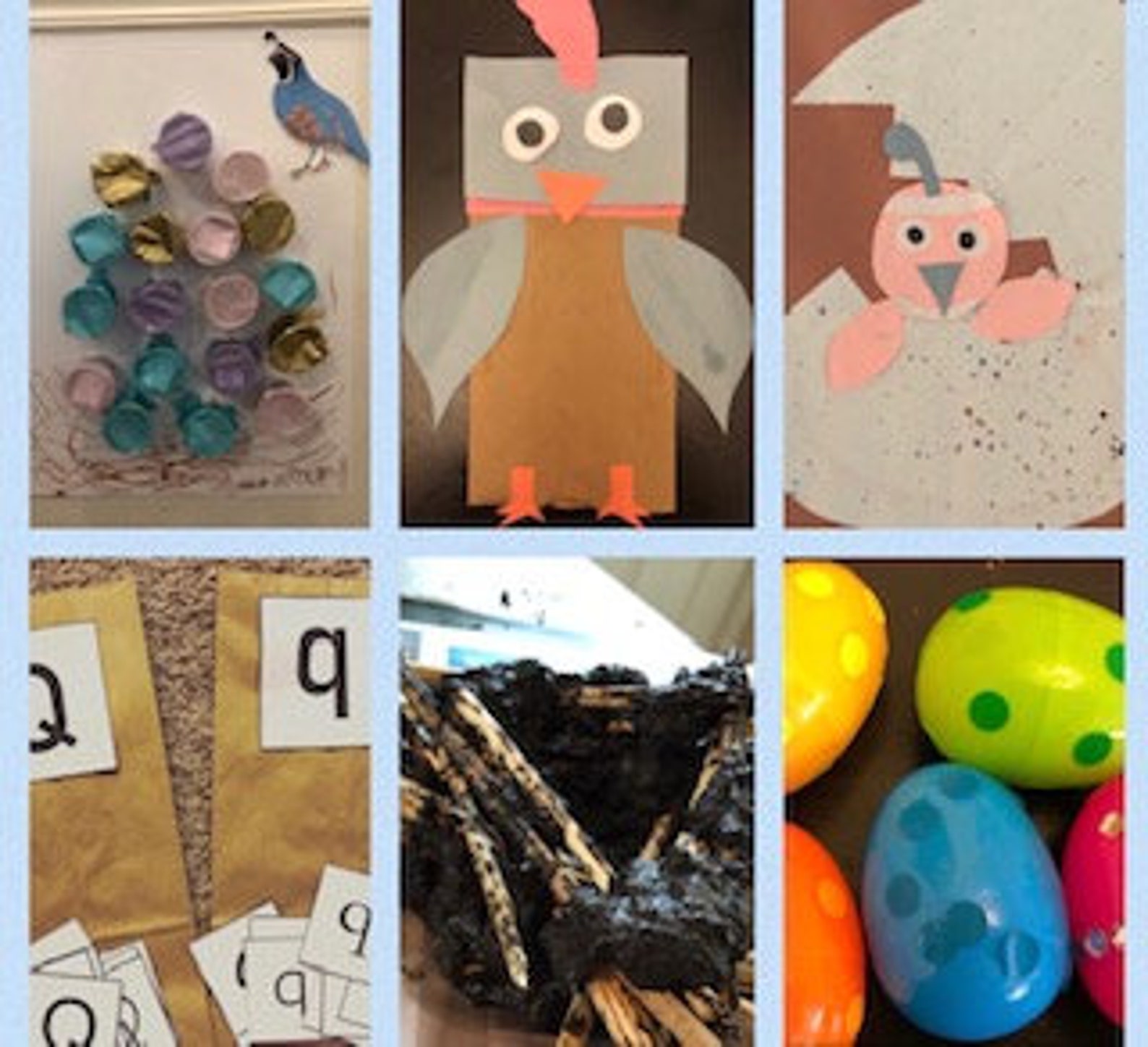 Quail Activity Q is for Quail Activity Booklet - Etsy