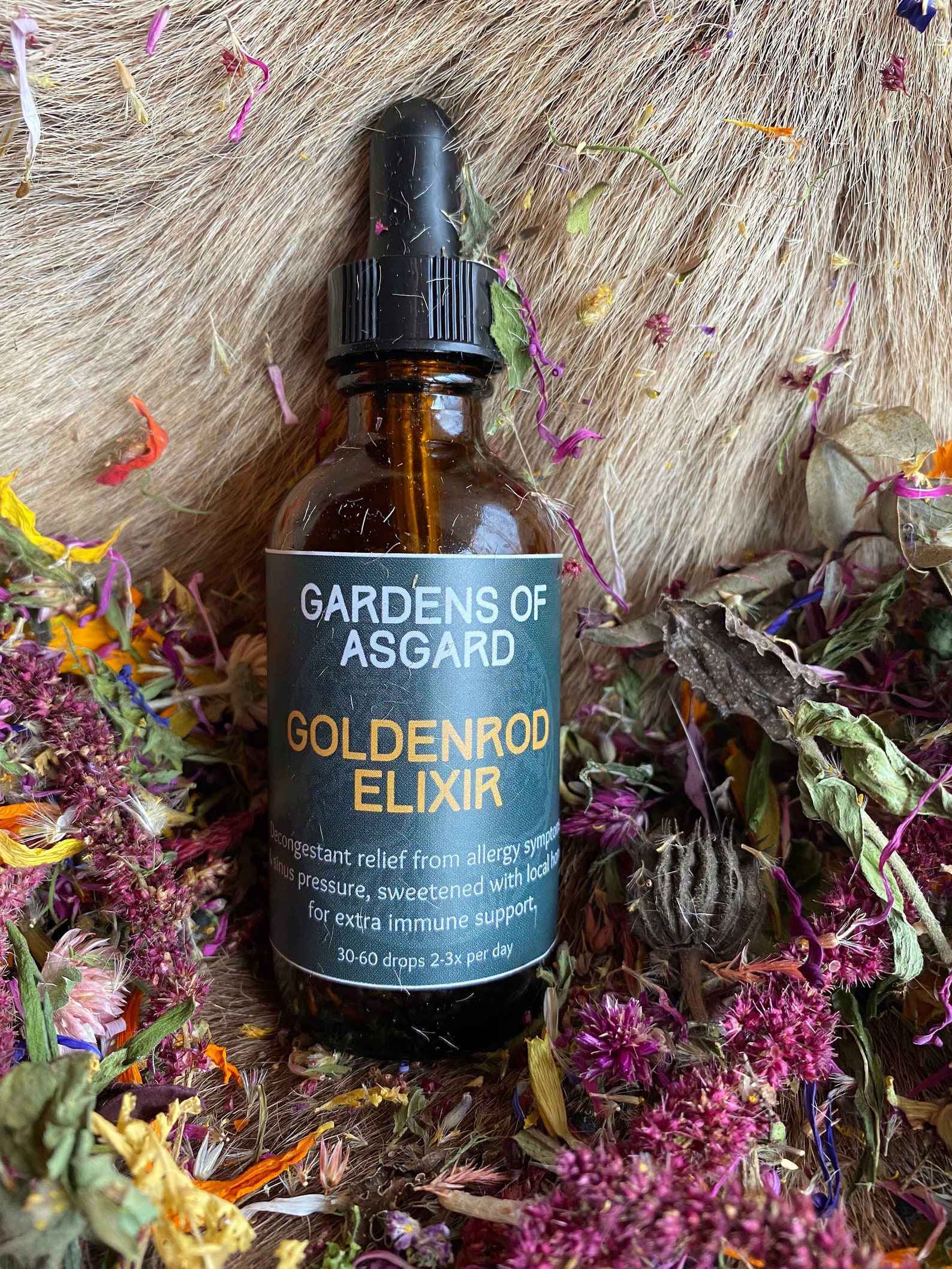 Goldenrod Elixir Remedio herbario para el apoyo a la Etsy