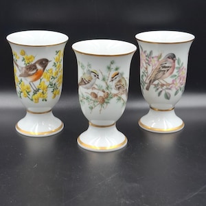 Può includere: Tre vasi in porcellana bianca con bordi dorati e basi a piedistallo. Ogni vaso presenta una diversa illustrazione di uccelli con accenti floreali in giallo, verde e rosa. I vasi sono esposti su uno sfondo nero.