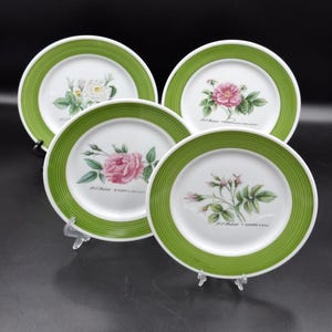 Set 4pic Plate Hutschenreuther Bavaria Germany 1940s Theme Roses Thorns Rosehip Diameter: 17.5 cm 6 2/3inch