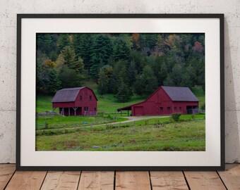 Vermont Print, Vermont Foliage Print, Landscape Print, Fine Art Print, Vermont Fall Foliage, Botanical Print, Vermont Photo, Farm Print