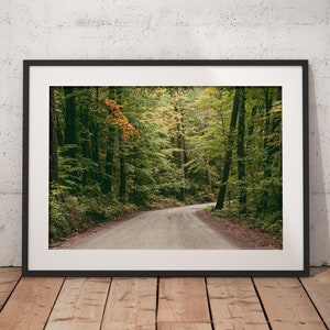 Fall Foliage Print, Vermont Print, Green Mountains Print, Autumn Print, Autumn Foliage Print, Botanical Print, Fine Art, Landscape Photo