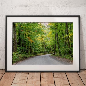 Fall Foliage Print, Vermont Print, Green Mountains Print, Autumn Print, Autumn Foliage Print, Botanical Print, Fine Art, Landscape Photo