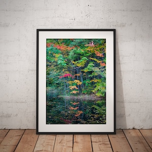 Vermont Print, Vermont Foliage Print, New England, Landscape Fine Art Print, Vermont Fall Foliage, Botanical Print, Vermont Photo