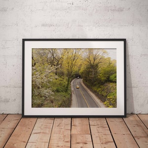 Central Park Print, New York Print, Cherry Blossoms, New York City Print, New York Photo, Spring Flowers, Spring, Wall Décor, Wall Art