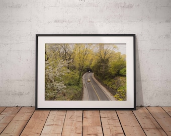 Central Park Print, New York Print, Cherry Blossoms, New York City Print, New York Photo, Spring Flowers, Spring, Wall Décor, Wall Art