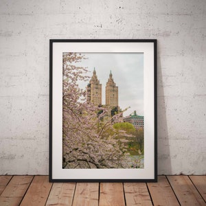 Central Park Print, New York Print, Cherry Blossoms, New York City Print, New York Photo, Spring Flowers, Spring, Wall Décor, Wall Art