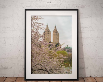 Central Park Print, New York Print, Cherry Blossoms, New York City Print, New York Photo, Spring Flowers, Spring, Wall Décor, Wall Art