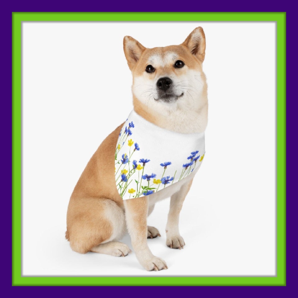 Discover Wildflower Pet Bandana Collar