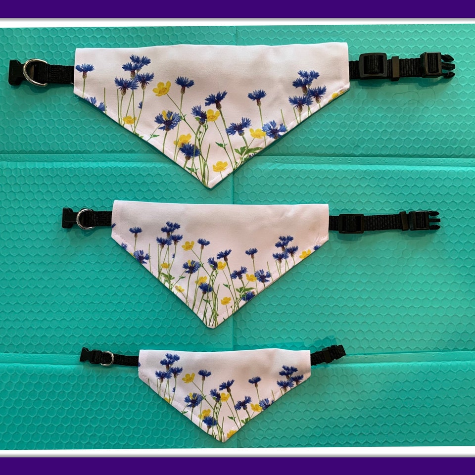 Discover Wildflower Pet Bandana Collar