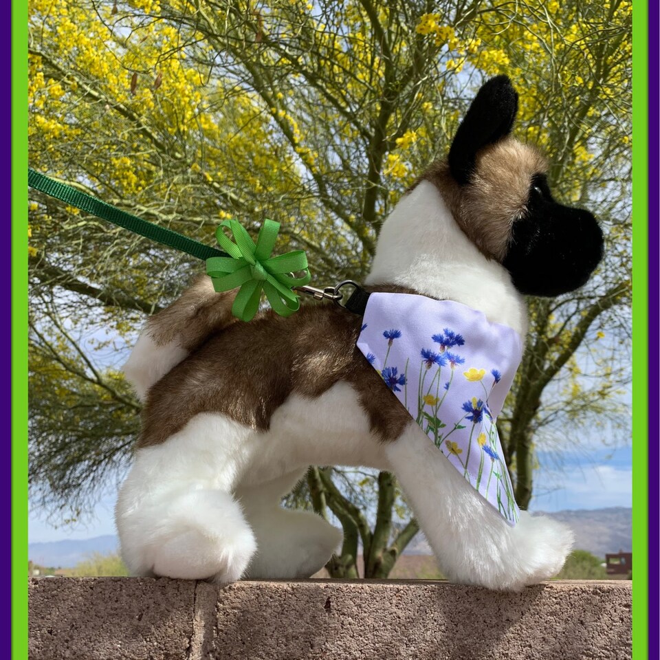 Discover Wildflower Pet Bandana Collar