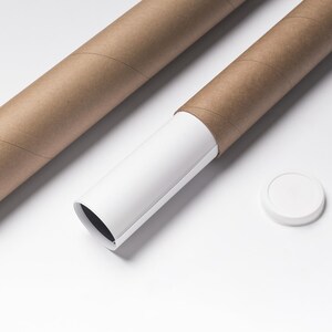 May include: Two brown cardboard tubes, one partially unrolled to reveal a white poster inside. A white plastic end cap is also visible.