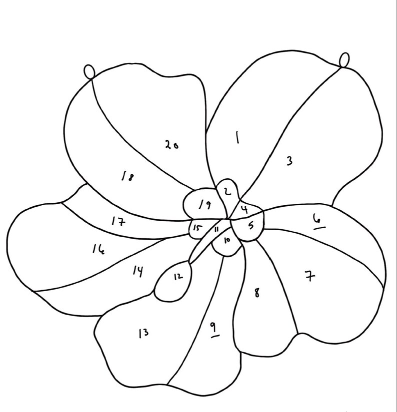 May include: A black and white line drawing of a flower with 20 numbered sections. The flower is a hibiscus with a large centre and five petals.