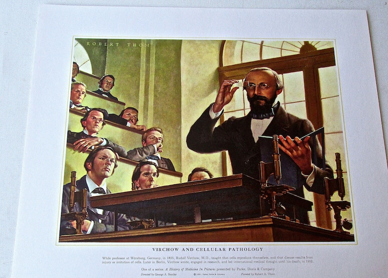 Vintage Medical Art-Virchow and Cellular Pathology 16 12 x 13 12 Offset Lithograph
