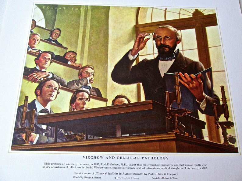 Vintage Medical Art-Virchow and Cellular Pathology 16 12 x 13 12 Offset Lithograph