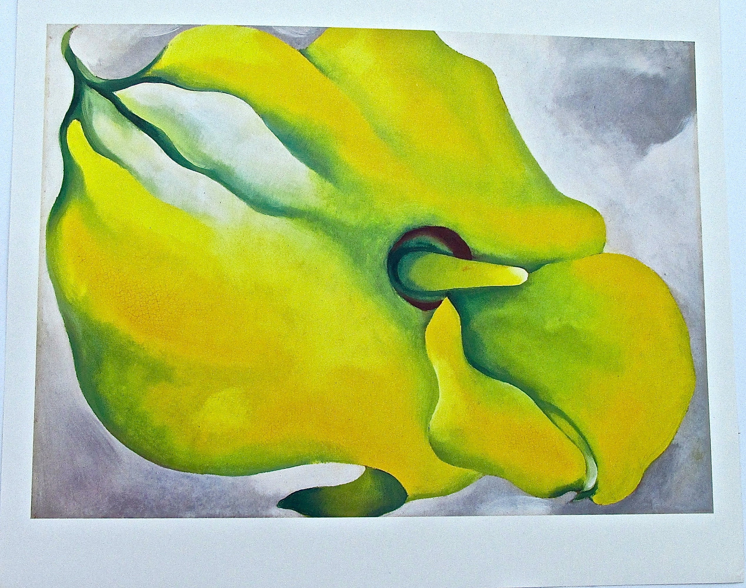 O'Keeffe amarillo Calla Fine Art Print 1936 15x13 Etsy España