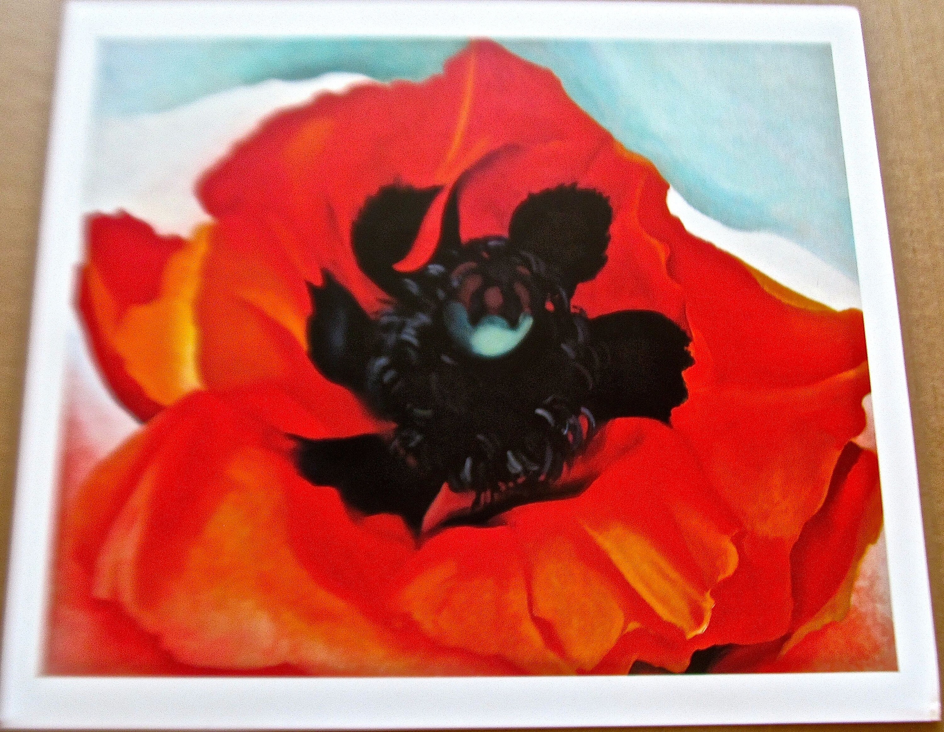 O'Keeffe Print titled Poppy 1927 with Seaweed Etsy