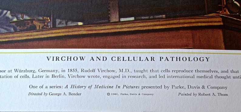 Vintage Medical Art-Virchow and Cellular Pathology 16 12 x 13 12 Offset Lithograph