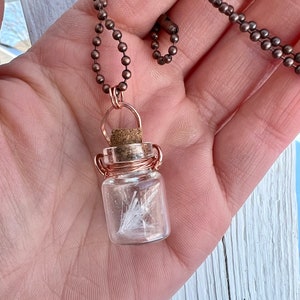 Jar head 6