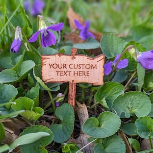 May include: A wooden sign with the text "YOUR CUSTOM TEXT HERE" is placed in a bed of purple violets and green leaves.