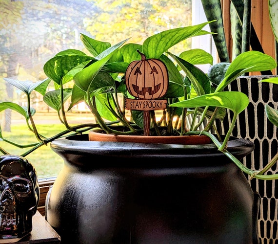 Stay Spooky Wooden Plant Sign: Halloween Decor