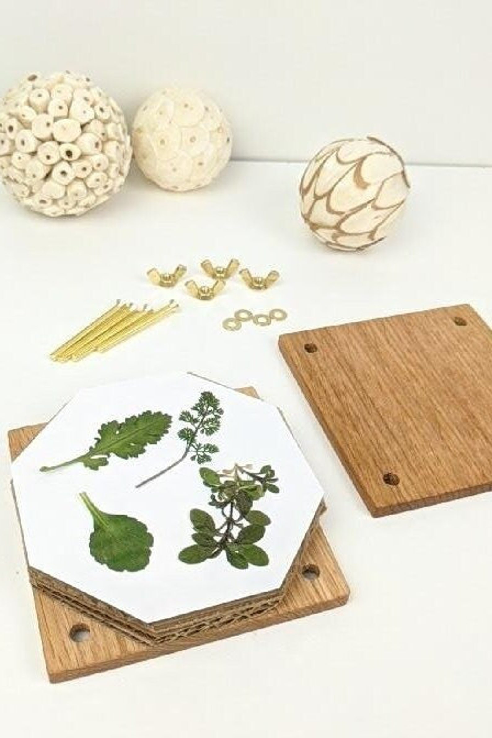 Mini Flower Press Small Portable Flower Press Kit Etsy
