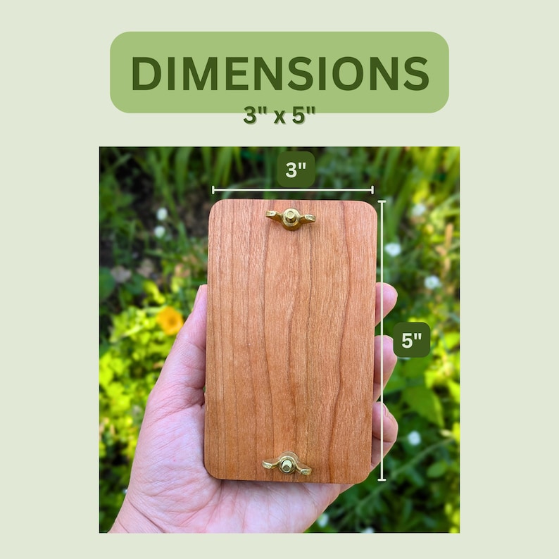 May include: A rectangular wooden plaque, 3 inches by 5 inches, with a reddish-brown finish. It features two brass-colored, decorative fasteners. The word "DIMENSIONS" is displayed above the plaque in a green rectangle.