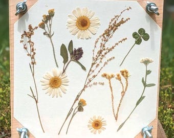 Hardwood Flower Press Kit | Acrylic Display (7x7")