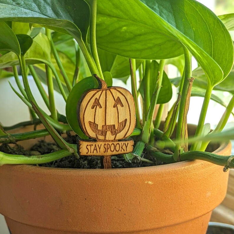 May include: A wooden pumpkin with a carved face and the text "Stay Spooky" is stuck into the soil of a potted plant. The plant is a green leafy vine.
