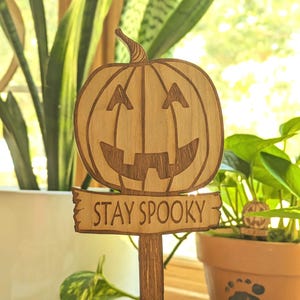 May include: Wooden Halloween sign with a carved pumpkin face and the text "STAY SPOOKY".