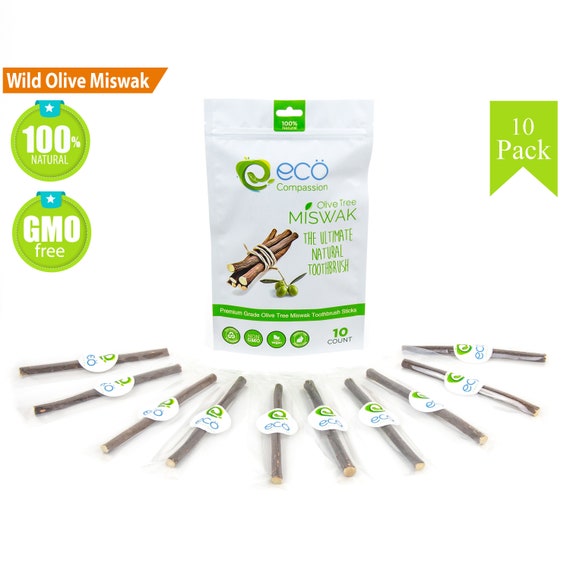 olive tree miswak