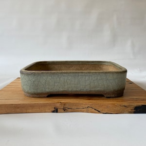 Könnte beinhalten: Ein rechteckiger, hellgrüner Keramik-Bonsai-Topf mit einer craquelé-Glasur. Der Topf steht auf einer Holzoberfläche.