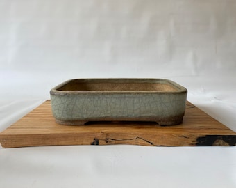 Bonsai slab spalted 2 maple 9" x 14.5"