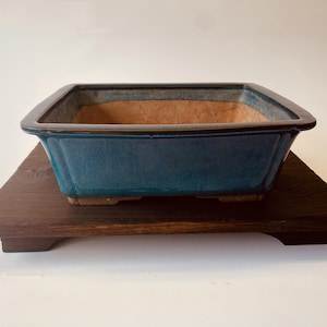 May include: A square, teal-glazed ceramic bonsai pot with a dark brown rim sits on a dark wooden stand. The pot has a rectangular shape with slightly flared sides. The wooden stand has a simple, rectangular design.