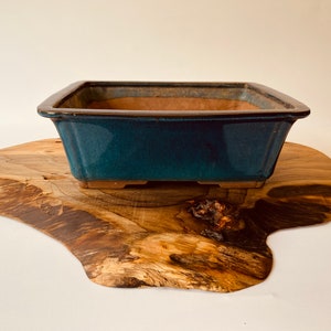 May include: A square, teal glazed ceramic bonsai pot with a brown rim. The pot is sitting on a wooden slab.