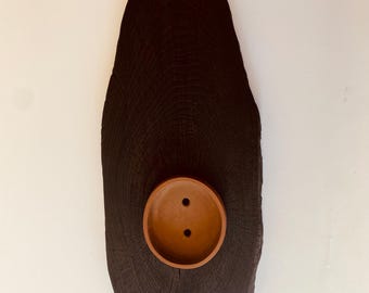 Bonsai slab black charred oak 18" x 8"
