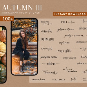 100 Instagram Story Stickers Autumn Fall Autumn PNG digital Procreate