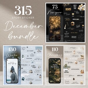 Könnte beinhalten: Ein Set mit 315 digitalen Story-Stickern für Instagram-Storys, aufgeteilt in drei Kategorien: 130 Winter-Sticker, 110 Weihnachts-Sticker und 75 Neujahrs-Sticker. Die Sticker zeigen eine Vielzahl von Designs, darunter Schneeflocken, Weihnachtsbäume und Feuerwerk.