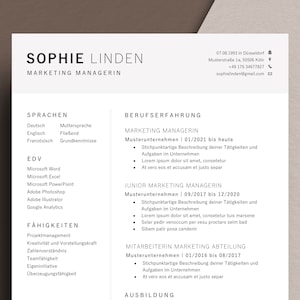 Plantilla de solicitud profesional CV Carta de presentación CV CV Palabra