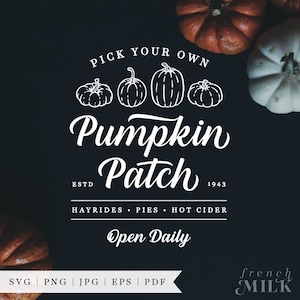 Könnte beinhalten: Weißer Text auf schwarzem Hintergrund lautet "Pick Your Own Pumpkin Patch" mit den Daten "ESTD 1943" und dem Text "Hayrides, Pies, Hot Cider, Open Daily". Fünf Strichzeichnungen von Kürbissen befinden sich über dem Text. Das Bild enthält auch echte Kürbisse.