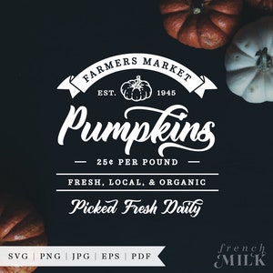 Fall Farmers Market Pumpkin Patch SVG Sign | Pick Your Own EPS PNG | Cut File for Cricut