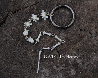 Articulated Groundhog (Woodchuck) Tail Chain