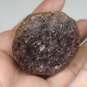 May include: A close-up of a round, purple and brown rock with a rough, textured surface.
