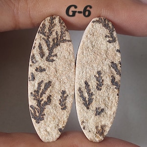 May include: Two oval-shaped, beige-colored cabochons with a black fern-like pattern. The cabochons are labeled "G-6".