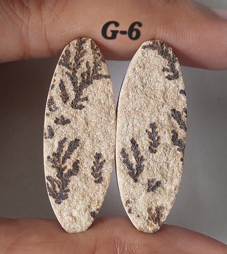 May include: Two oval-shaped, beige-colored cabochons with a black fern-like pattern. The cabochons are labeled "G-6".