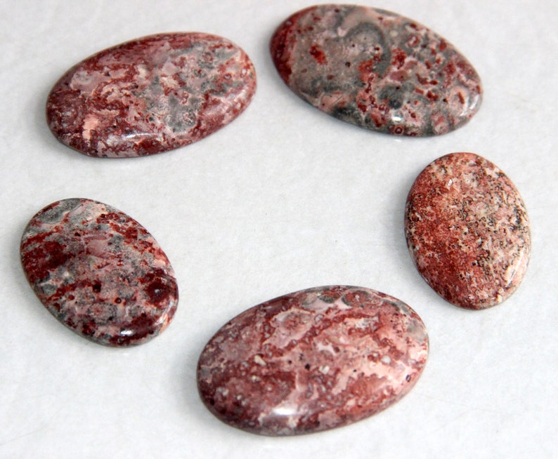 Oval Shape Stone 5 Pieces Natural Leopard Skin Jasper Cabochon Flat Back Stone Whole Sale Price Red Leopard Skin Jasper Gemstone