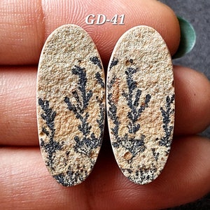 Pu&ograve; includere: Un paio di cabochon ovali con un motivo di agata dendritica. I cabochon sono di colore marrone chiaro con motivi dendritici neri. I cabochon sono etichettati "GD-41".