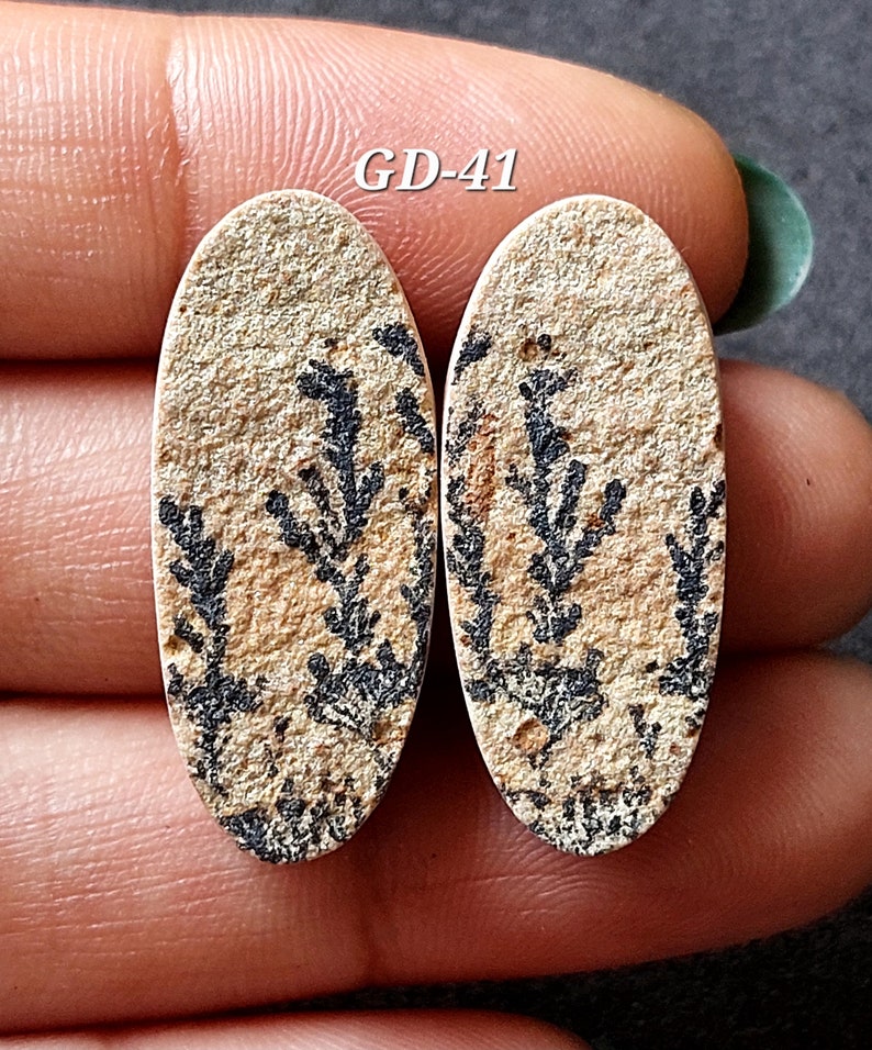 Pu&ograve; includere: Un paio di cabochon ovali con un motivo di agata dendritica. I cabochon sono di colore marrone chiaro con motivi dendritici neri. I cabochon sono etichettati "GD-41".