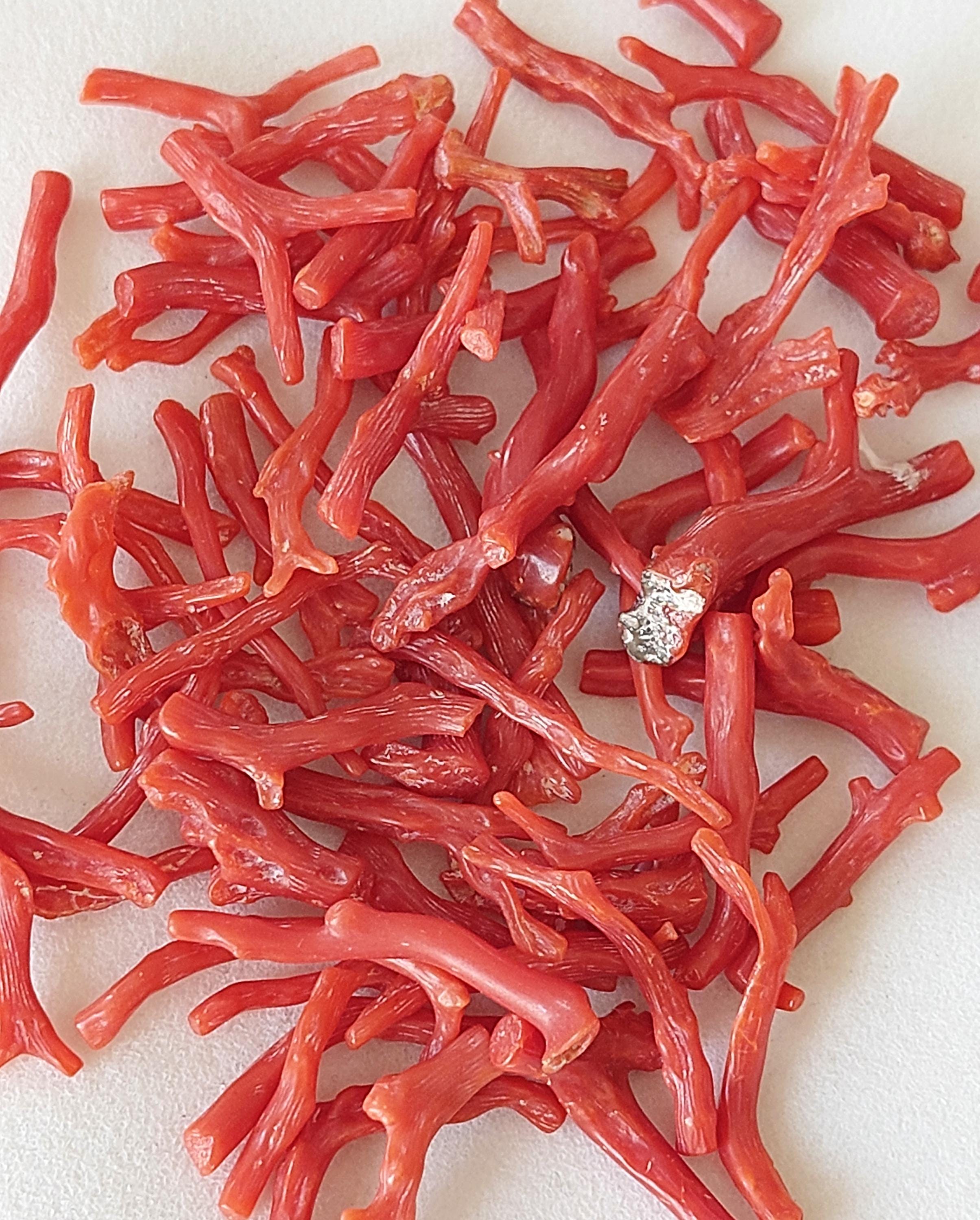10 Red Coral Sticks: Natural Raw Coral Reef Branches (15-40mm